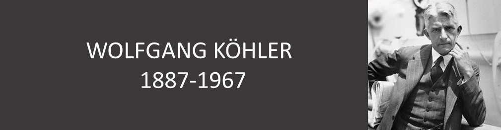 WOLFGANG KÖHLER (1887-1967)